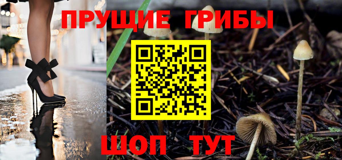 Псилоцибиновые грибы мицелий Красный Сулин