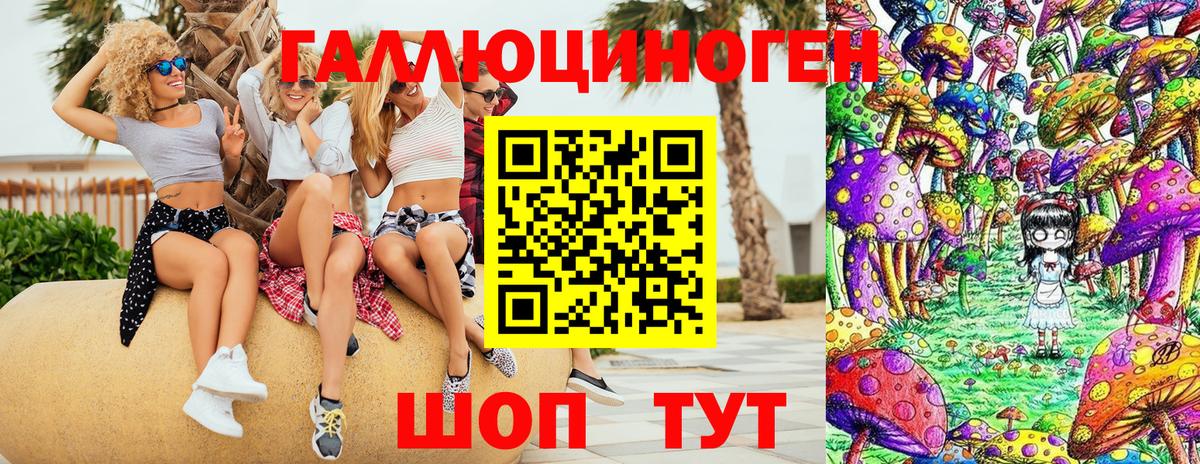 Галлюциногенные грибы GOLDEN TEACHER  Галлюциногенные грибы Psilocybine cubensis  Красный Сулин  Вход с VPN 